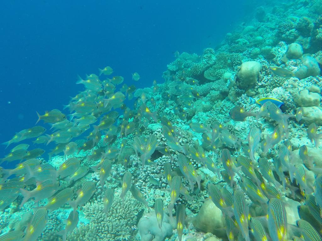 Ras Beach Inn Rasdhoo Esterno foto