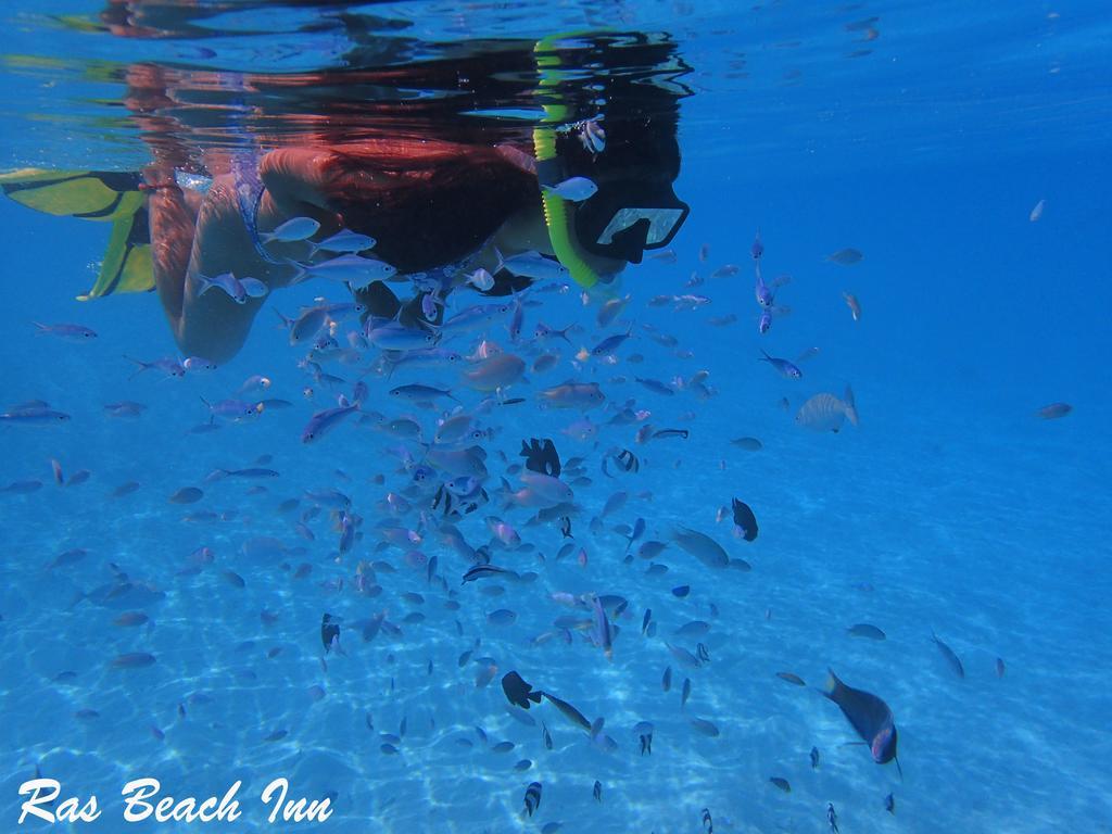 Ras Beach Inn Rasdhoo Esterno foto