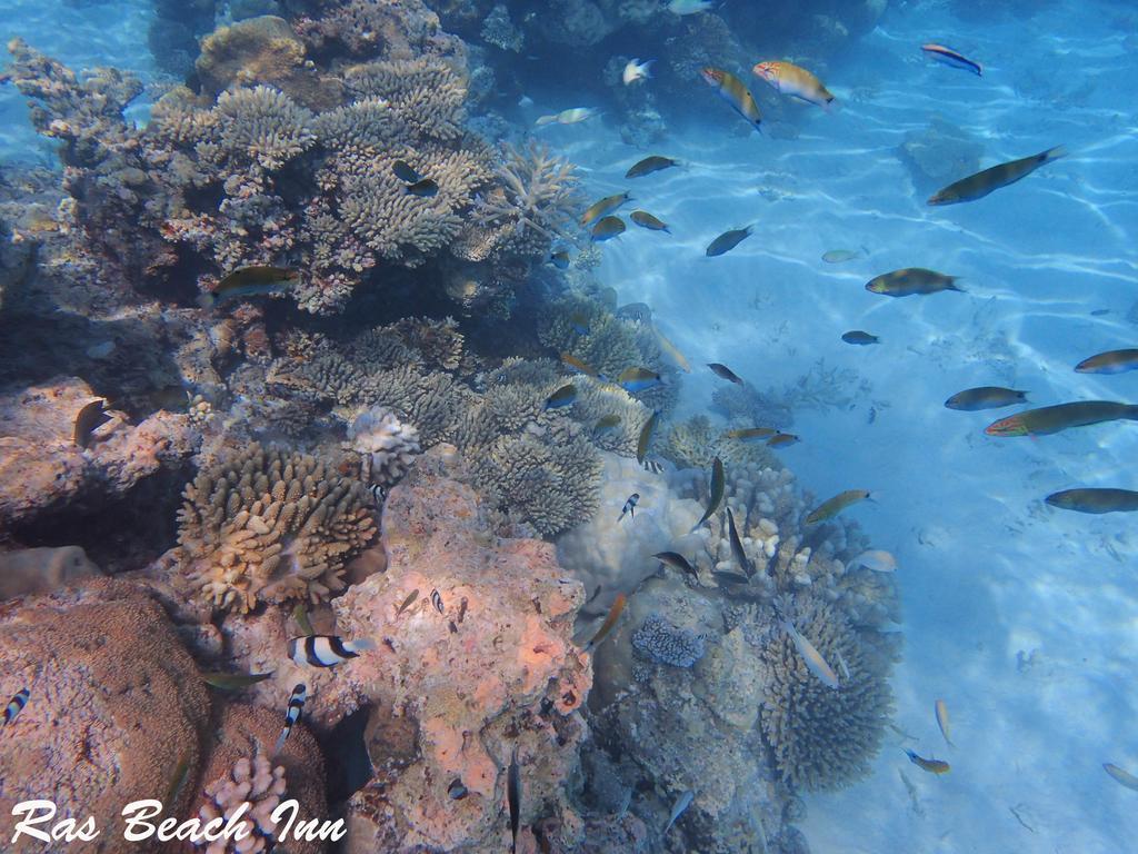 Ras Beach Inn Rasdhoo Esterno foto