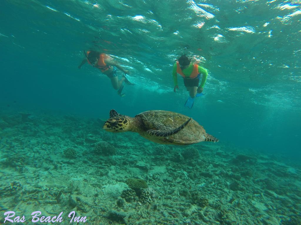 Ras Beach Inn Rasdhoo Esterno foto