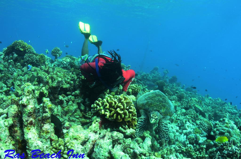Ras Beach Inn Rasdhoo Esterno foto